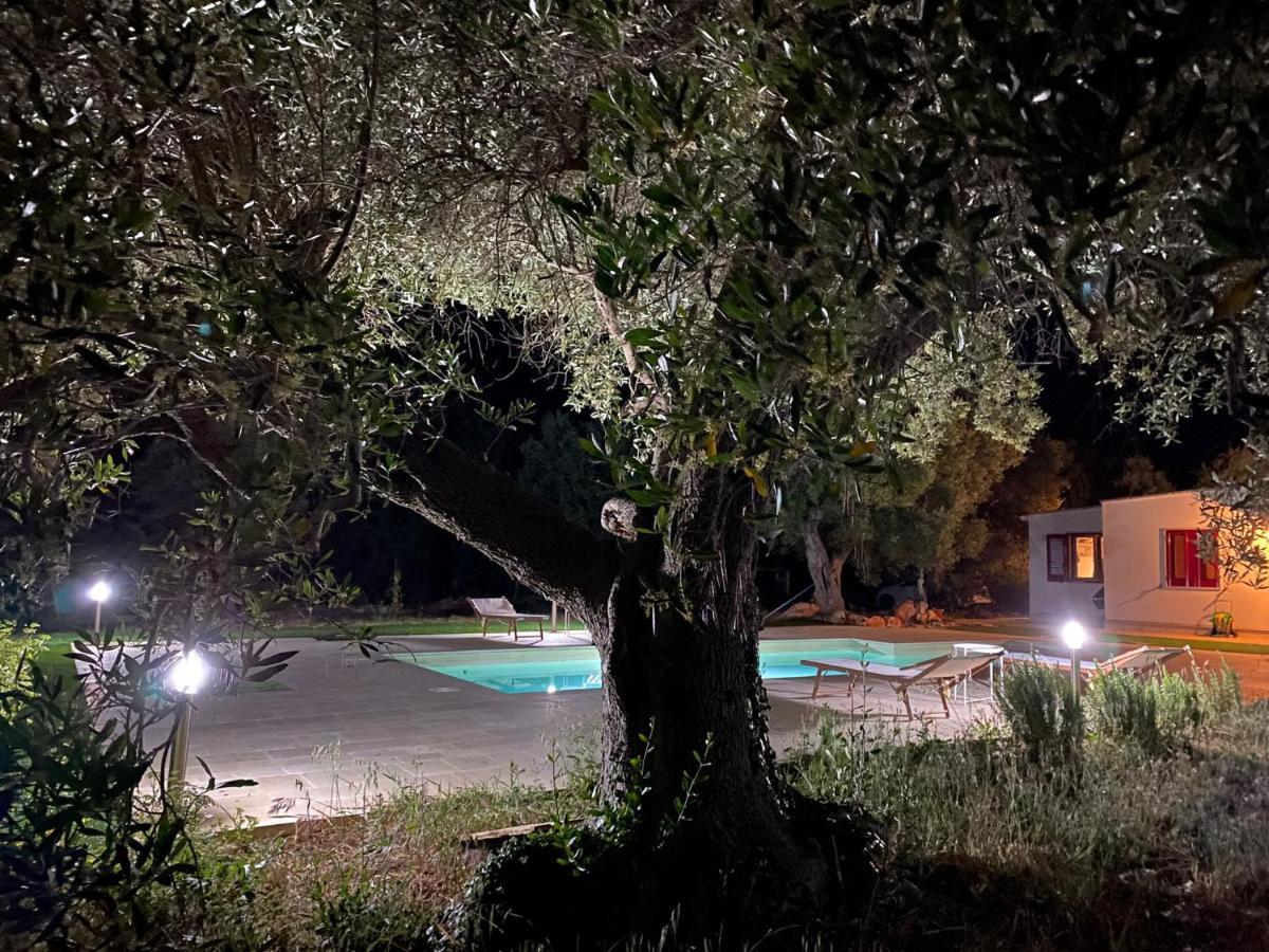 Le Radici Bed & Breakfast Monopoli Exterior foto